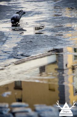 Naples