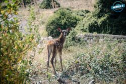 Πάρκο των Ψυχών