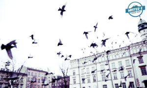 krakow