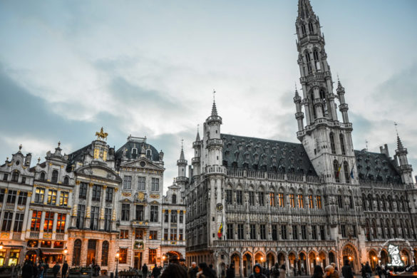 Brussels - Mr. Evans