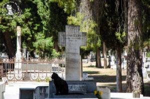 Σαμιαμίδι γλυπτό, Οικογενειακός τάφος Κόντου(Ιστορία 1895). Φωτογραφία mister evans travel blog