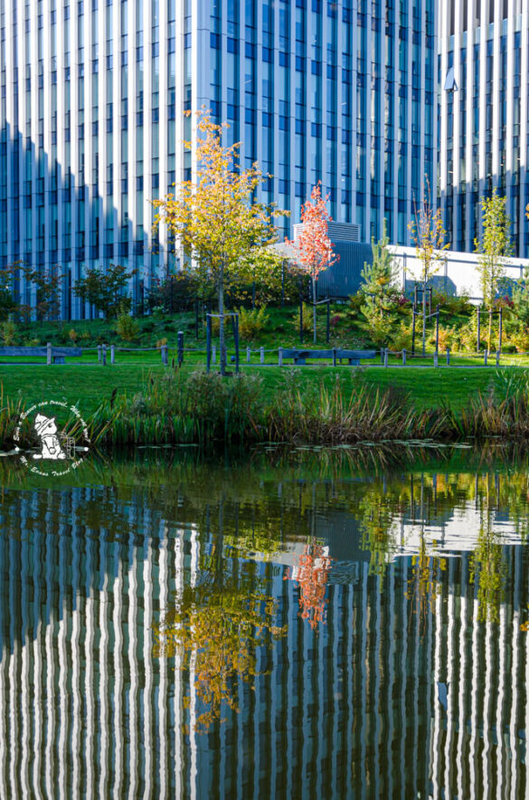 Vilnius Japanese Park , Šnipiškės