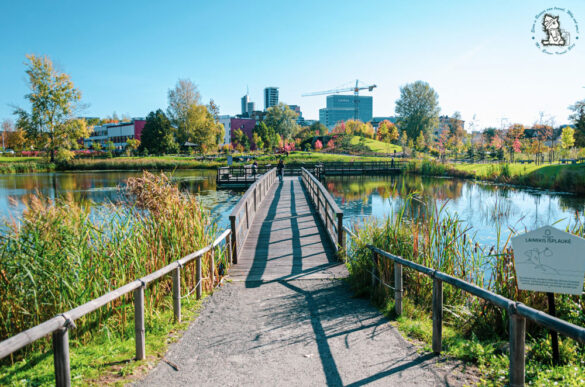 Vilnius Japanese Park , Šnipiškės