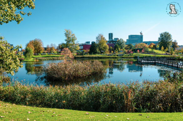 Vilnius Japanese Park , Šnipiškės