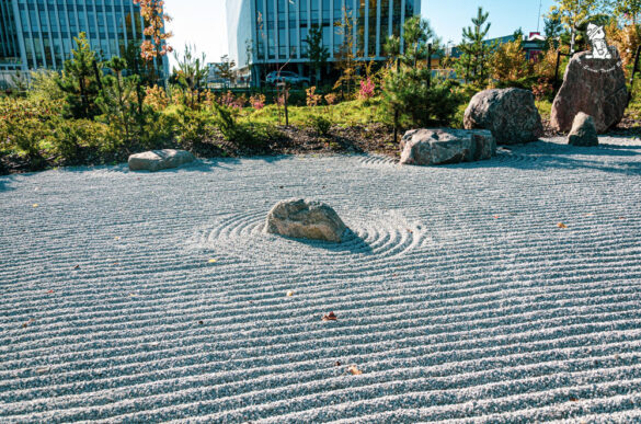 Vilnius Japanese Park , Šnipiškės