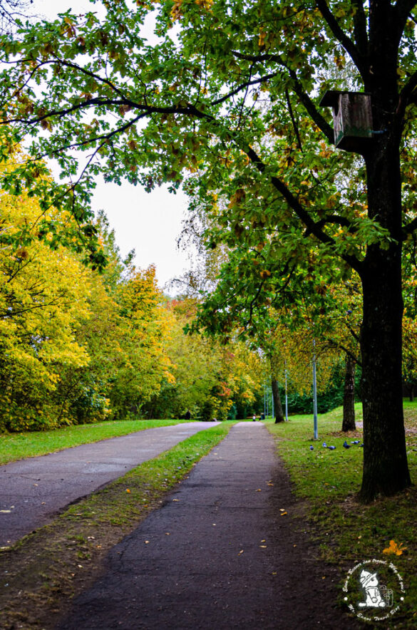 Žirmūnų diskgolfo parkas, Vilnius, Lithuania