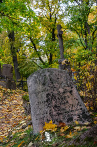 Bernardine Cemetery (Lithuanian: Bernardinų kapinės-Mister Evans