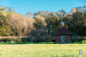 Hills of crosses (Kryžių kalnas). Lithuania bu mr.evans travel blog