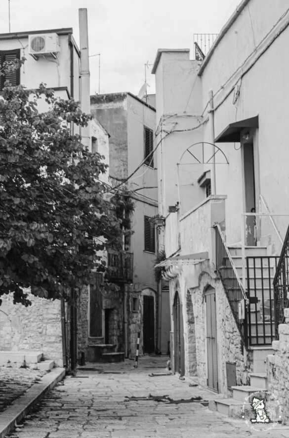 sannicandro-di-bari–JOG_0423 Sannicandro di Bari