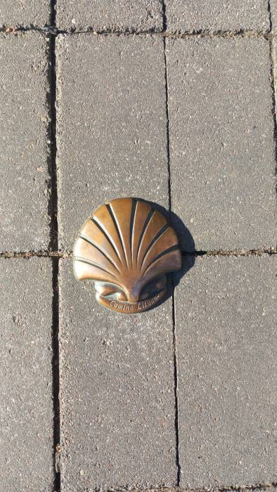 20241018_141513 kaunas mobile archive-mr. evans