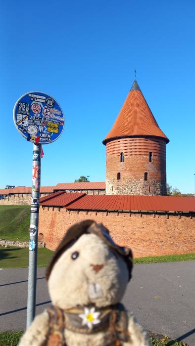 20241018_141829 kaunas mobile archive-mr. evans