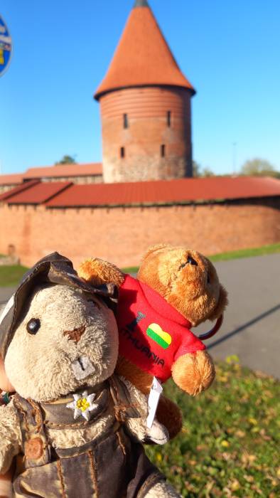 20241018_141937 kaunas mobile archive-mr. evans