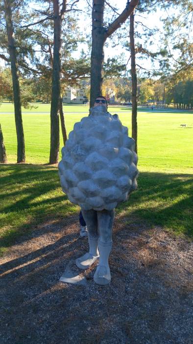 20241018_144001 kaunas mobile archive-mr. evans