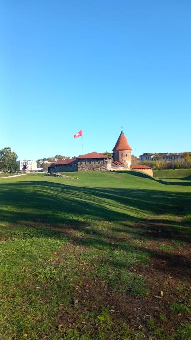 20241018_145152 kaunas mobile archive-mr. evans