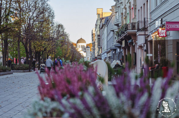 kaunas-JOG_6790 Kaunas Lithuania,Photos by Mister Evans-Jo Gogou
