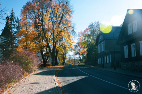 Trakai-JOG_6905 Trakai-lithuania | Photos Mister Evans Travel Blog-Jo Gogou
