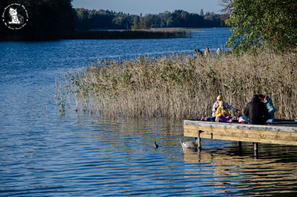 Trakai-JOG_6972 Trakai-lithuania | Photos Mister Evans Travel Blog-Jo Gogou